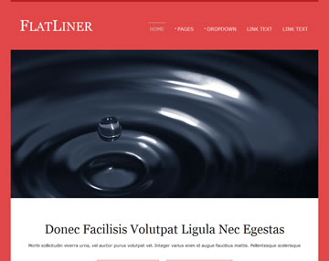 FlatLiner Free Website Template